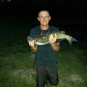 Meet your Posher, Glenn